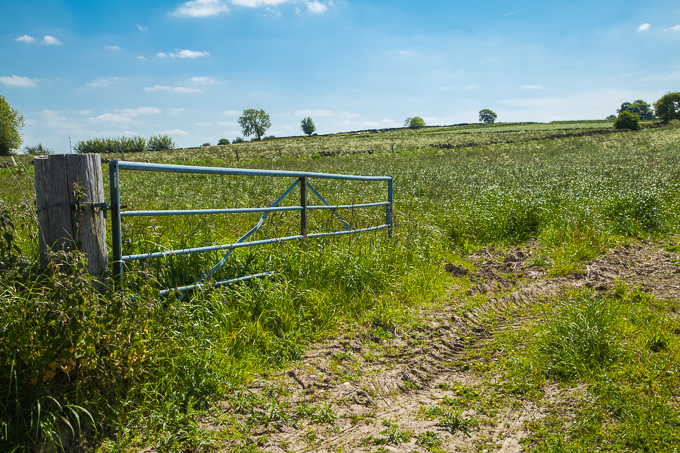Gates (11)